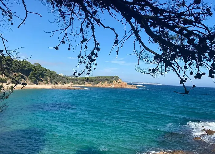 Casa Calonge (Catalonia)